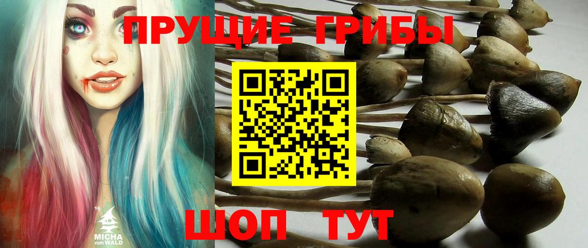 Галлюциногенные грибы MAGIC MUSHROOMS Владивосток